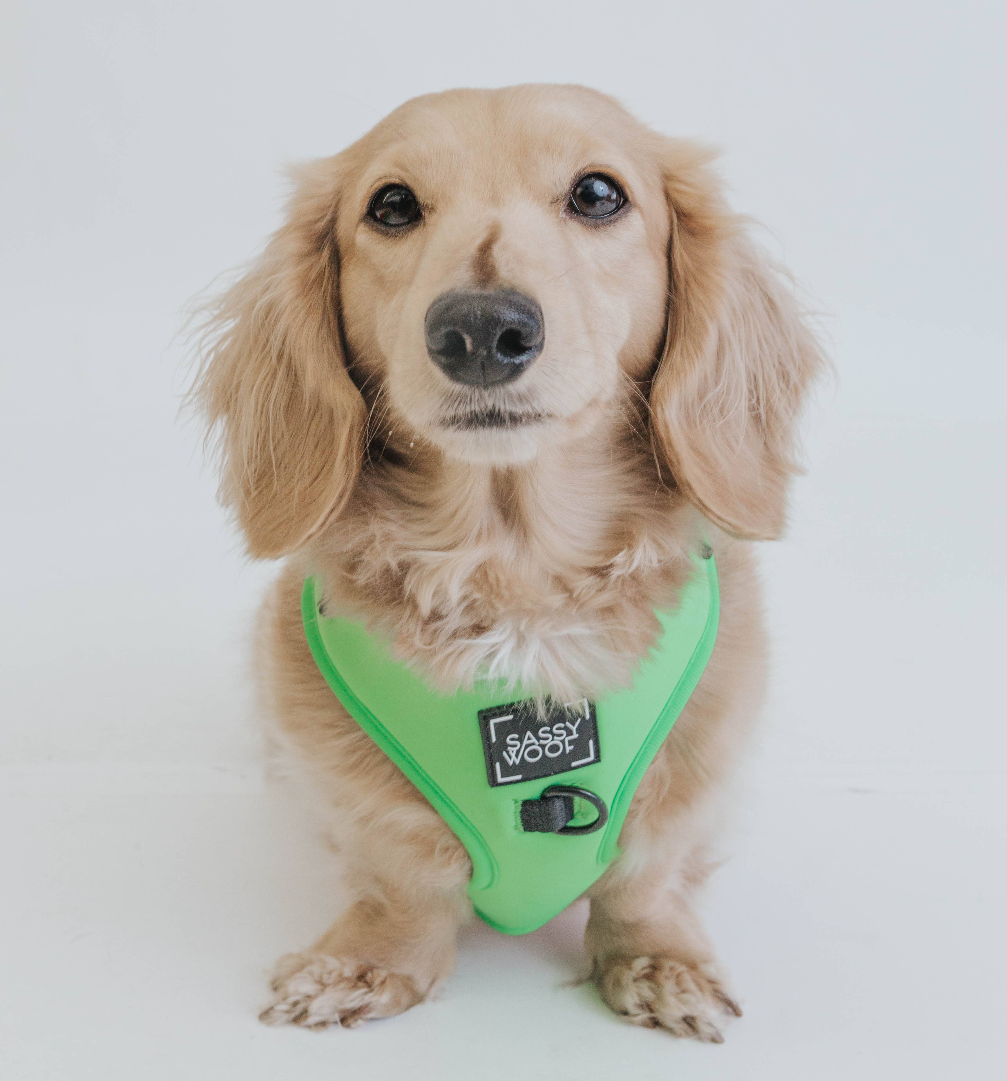 SASSY WOOF - Dog Adjustable Harness - Neon Green: XXS